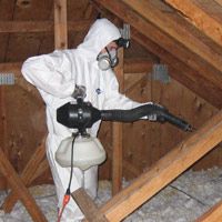 Attic Sanitazation