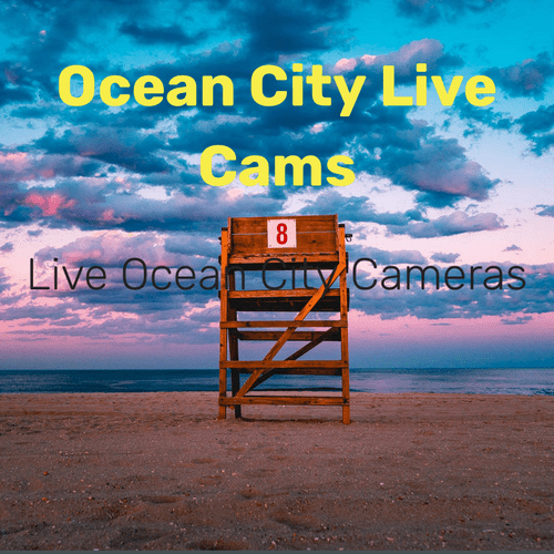 Ocean City live web cams