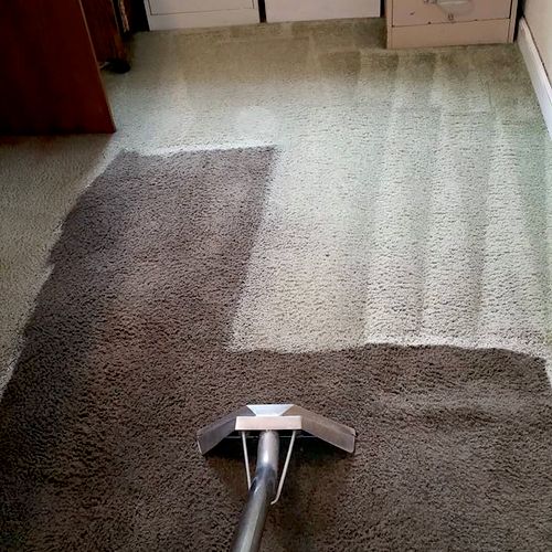Carpet cleaning commercial job in Sterling.