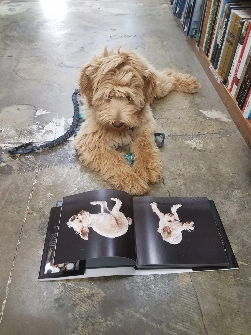 Trainees get to shop with us to practice skills ou