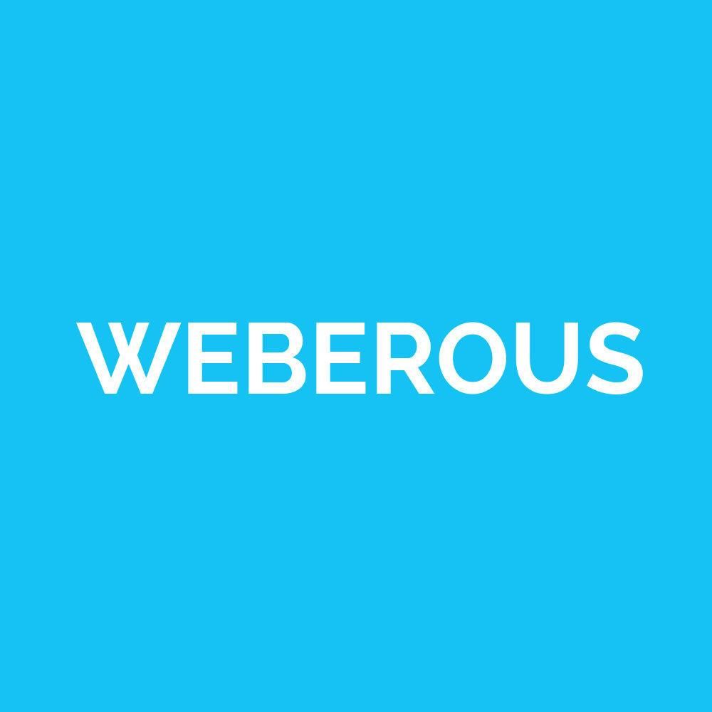 Weberous Web Design