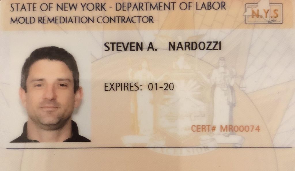 NYS Mold Remediation Contractor