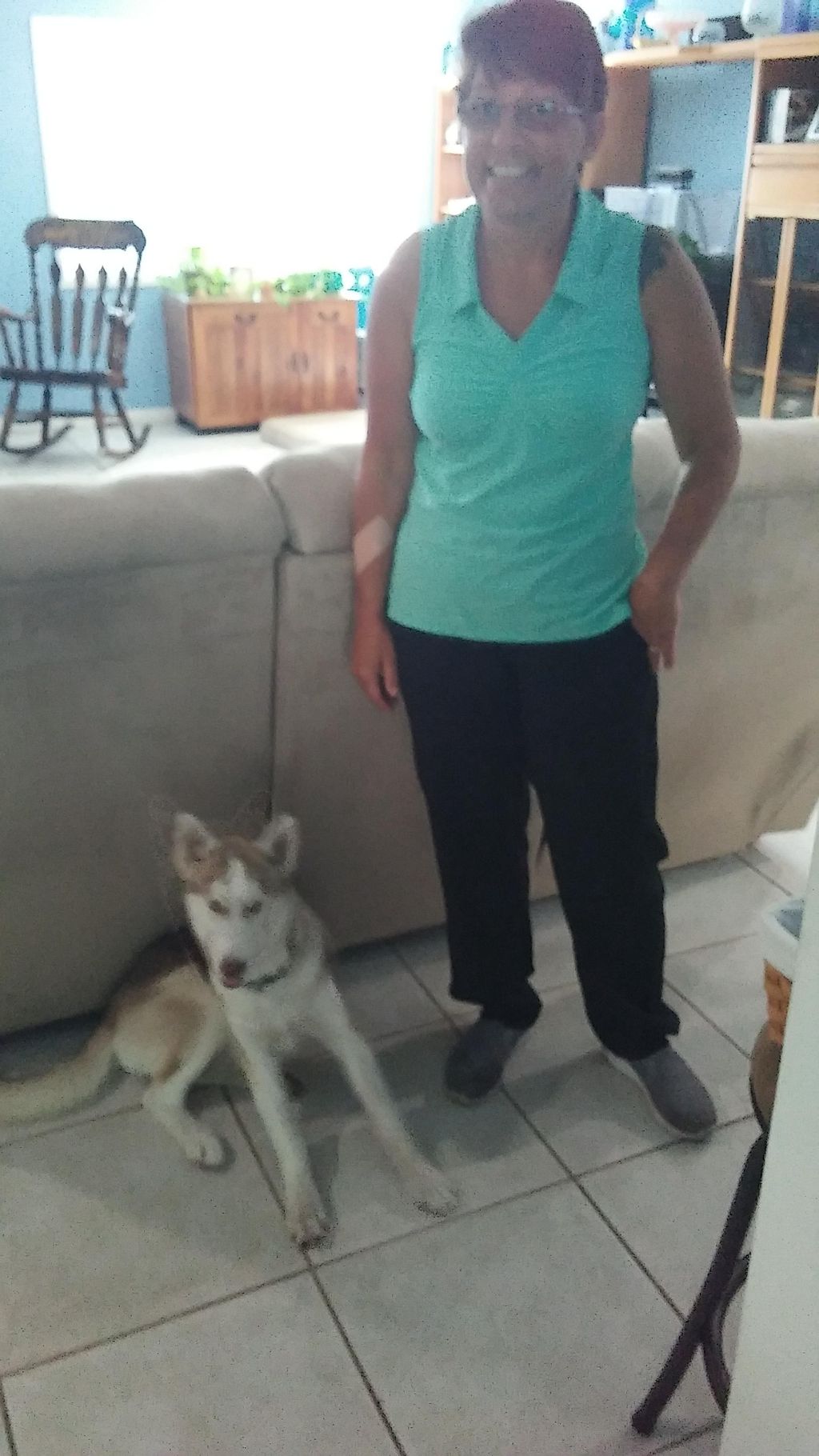 Off leash sit by Max! 16 week old Siberian Husky