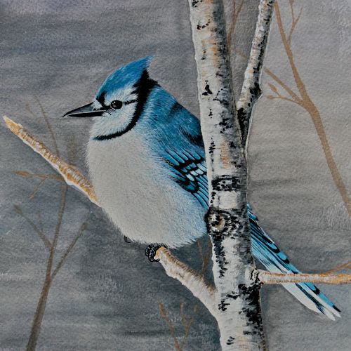 small bluejay painted on a wall