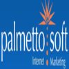 Palmettosoft - Internet Marketing Consultancy
