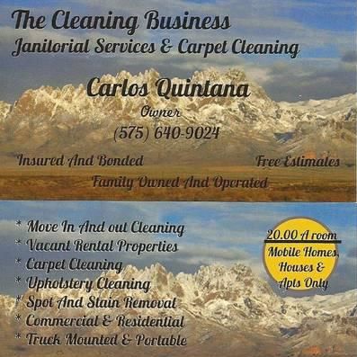 The Cleaning Business