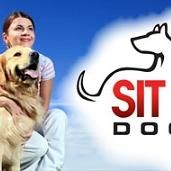 Sit Means Sit - Central Texas