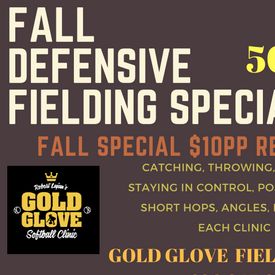 Gold Glove Softball Fielding Clinic