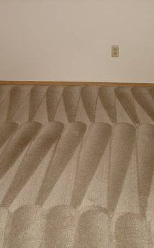 Cheap Carpet Cleaning Los Angeles