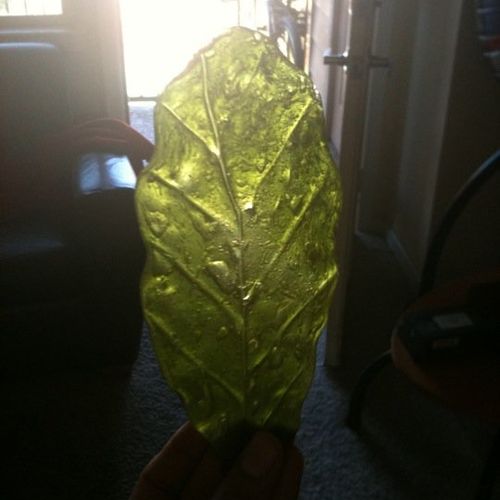 Sugar Leaf