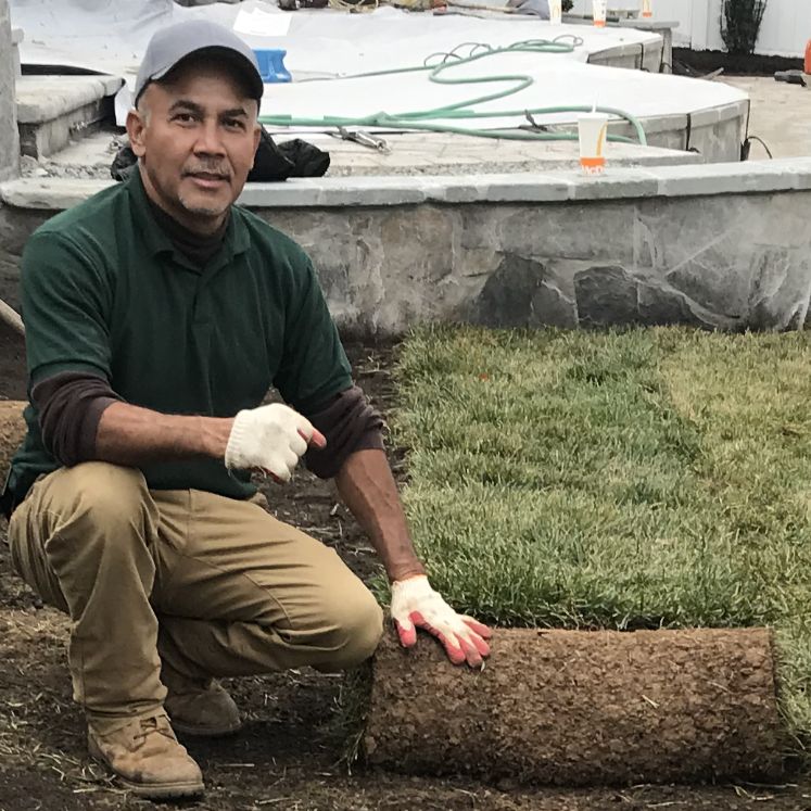 LANDSCAPING,  TREE REMOVAL,  SNOW REMOVAL,