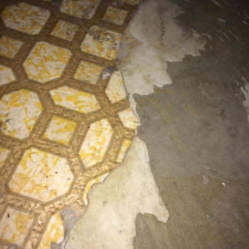 Asbestos Linoleum Flooring Kitchen,
Gray paper bac