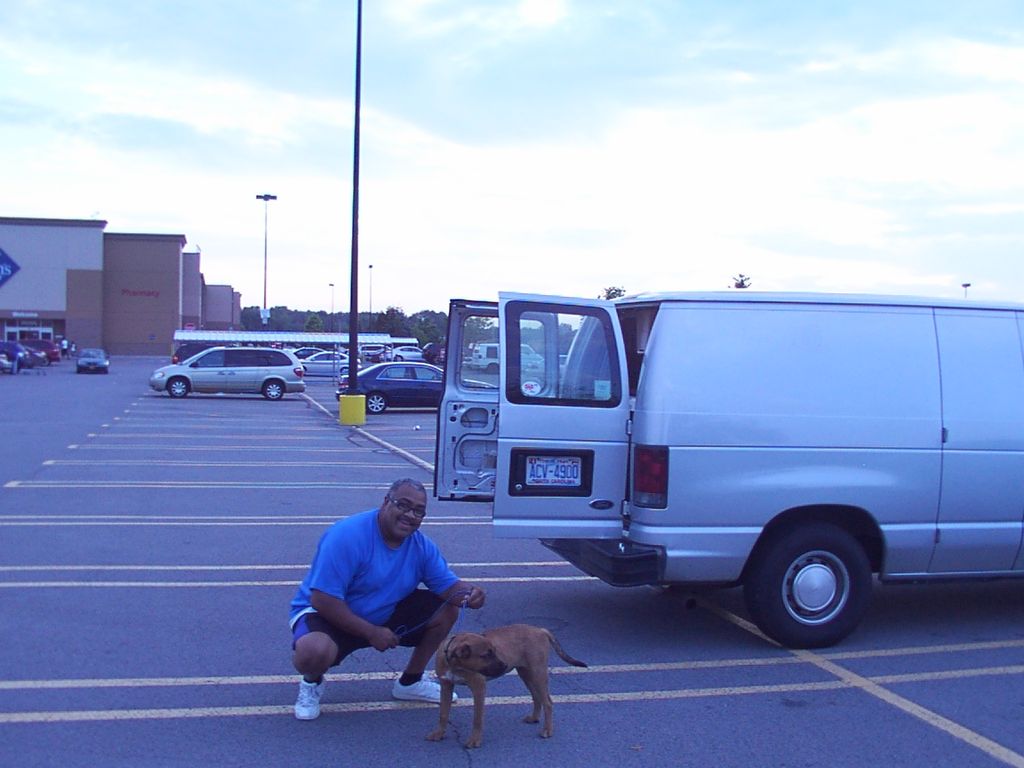 Transporting Pets