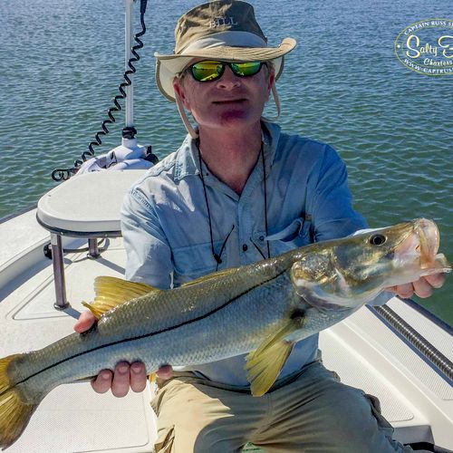 Late winter Snook.