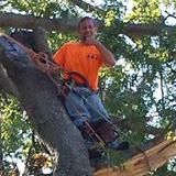 Randy's Tree Service