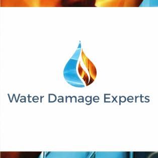 Water Damage Experts, LLC