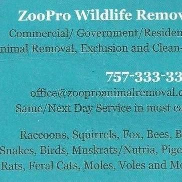 ZooPro Wildlife Removal