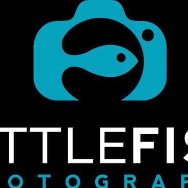 Little Fish Photography