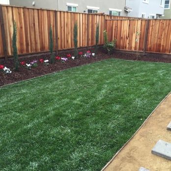 Beautiful wood fence with new sod and planters wit