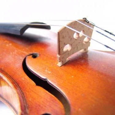 Beginners & Intermediate Private Violin Lessons!