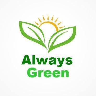 Avatar for Always Green Carpet Cleaner NYC