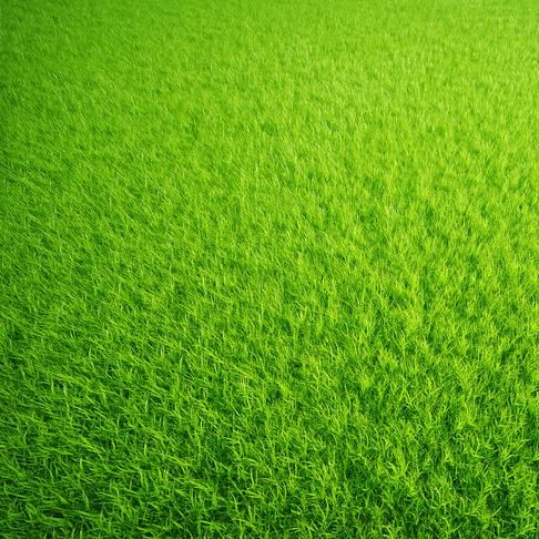 Quality Sprinkler Repair