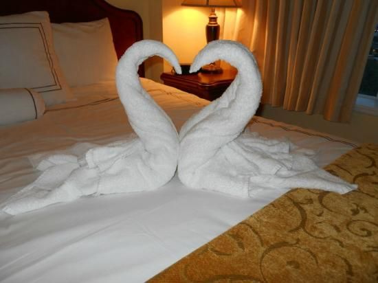 Swan towel fold.