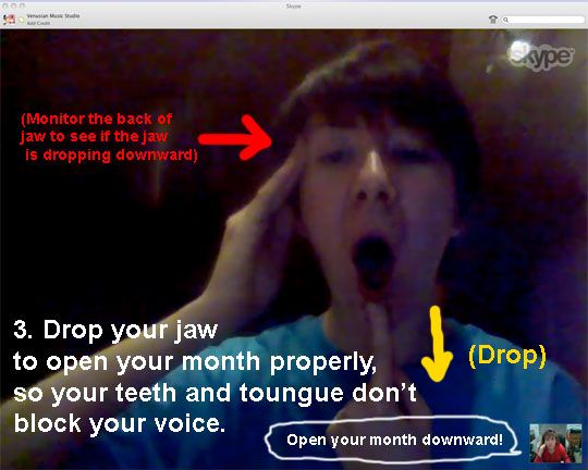 Now we offer online Skype or Facetime voice classe