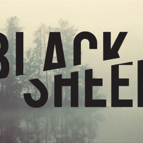 Logo for Black Sheep.
Online store for alternative