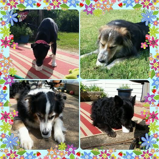 We love having summer time ice cream parties!