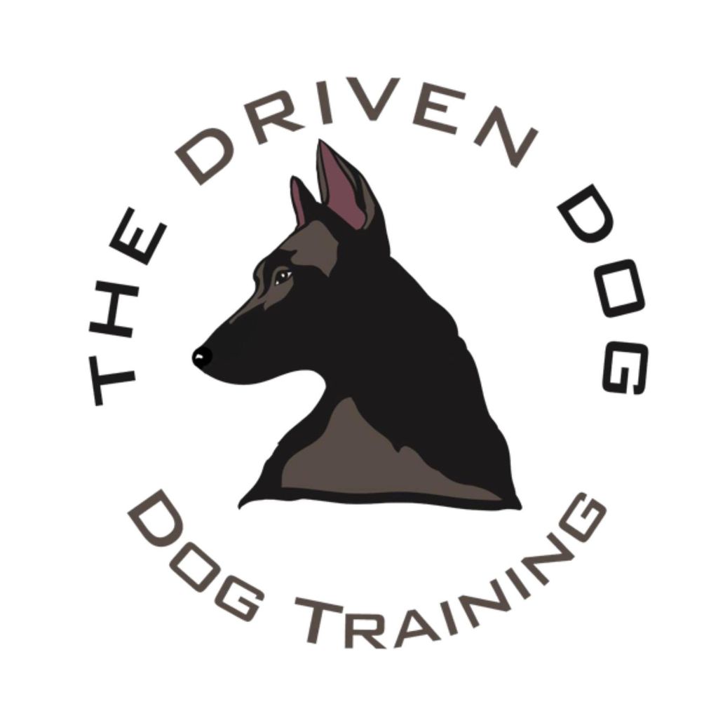 The Driven Dog