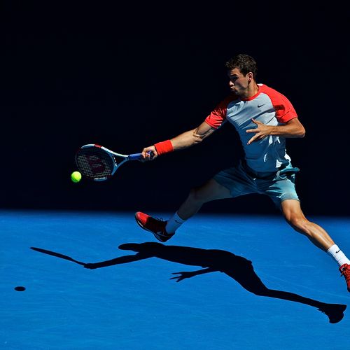 Grigor Dimitrov during the 2014 Australian Open