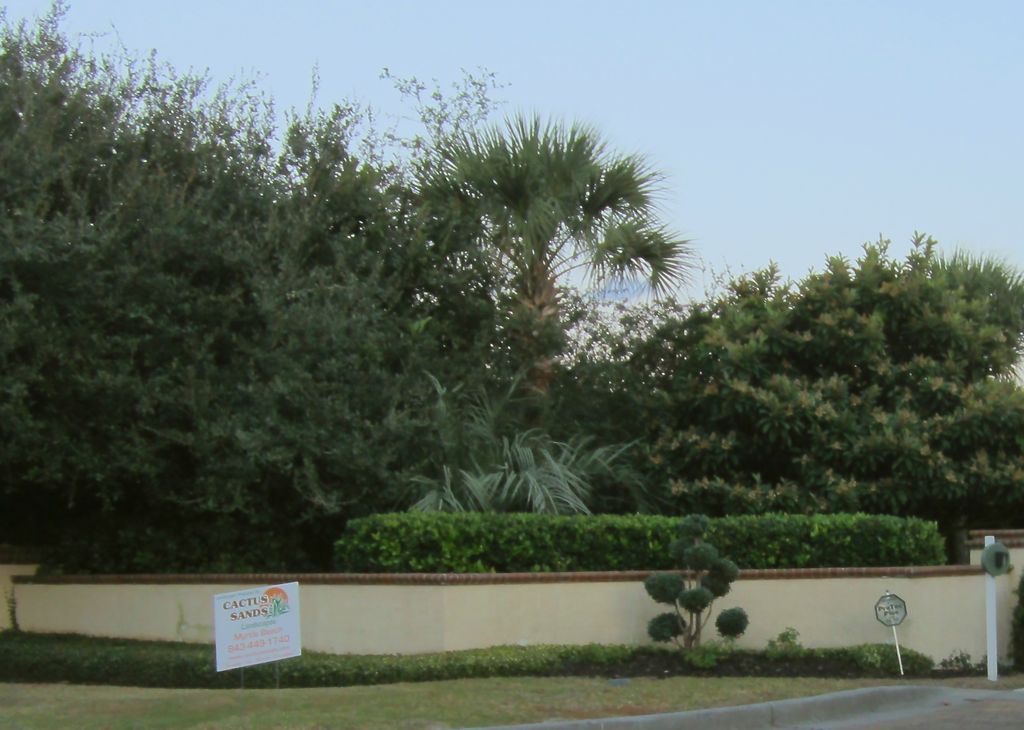 Lawn maintenance, fertilization, sod