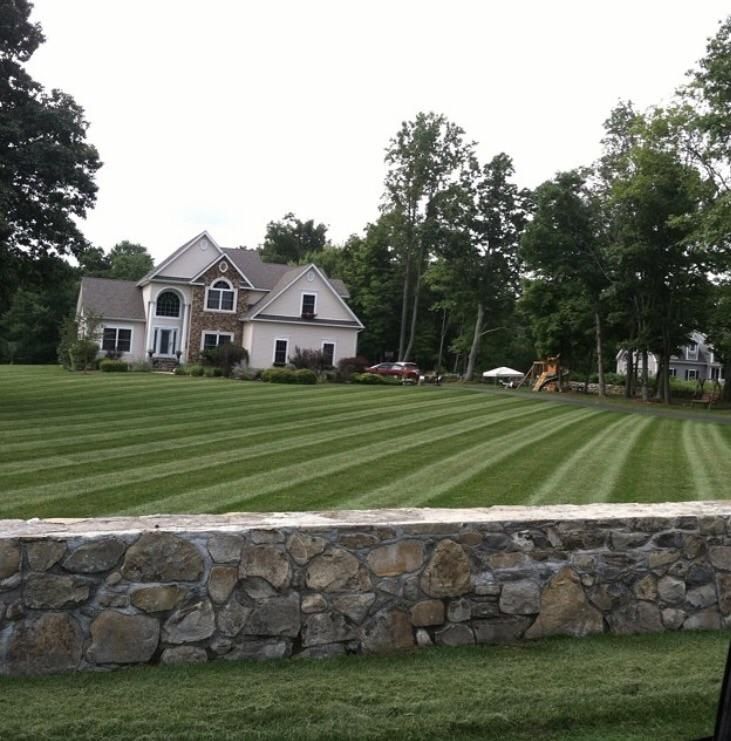 Simms Property Services