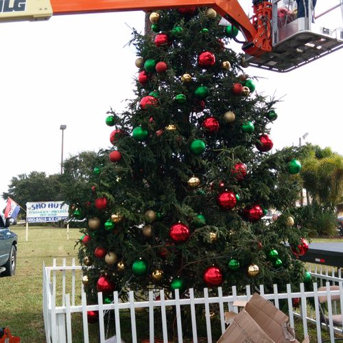 2015 Christmas Tree decorating for Holiday perform