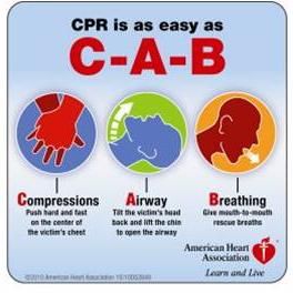 Deft CPR Trainers
