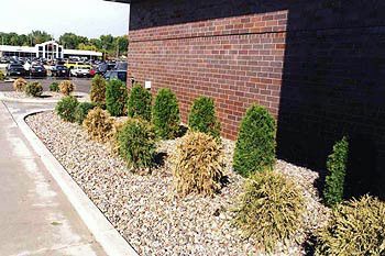 We offer custom commercial landscape projects as w