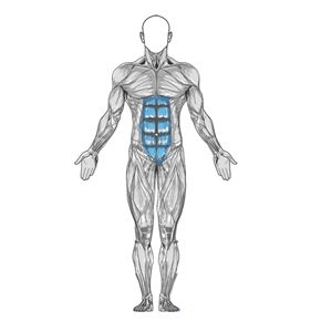 The human anatomy is an amazing machine.