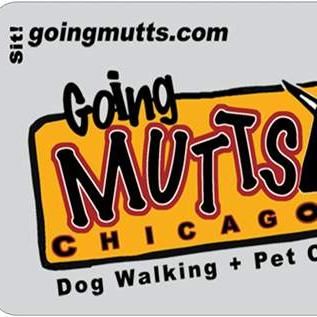 Going Mutts Chicago