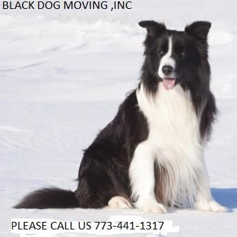 Black Dog Moving, Inc.