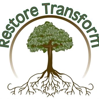 Restore Transform