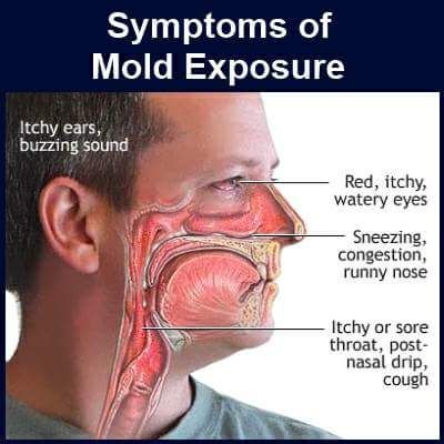 Mold exposure symptoms