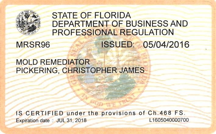 State Certified Mold Remediation 