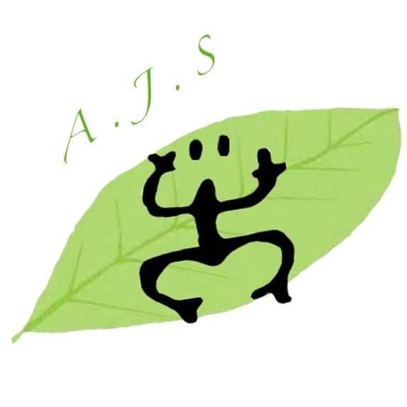 A.J.S  LLC