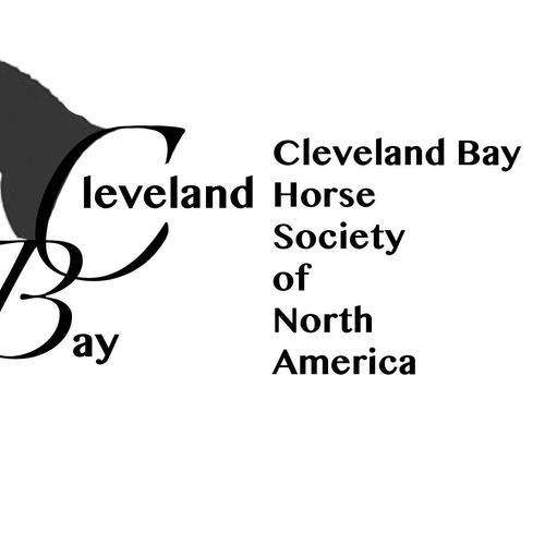 logo designed