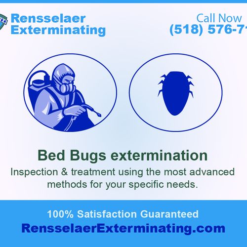 Bed bugs extermination