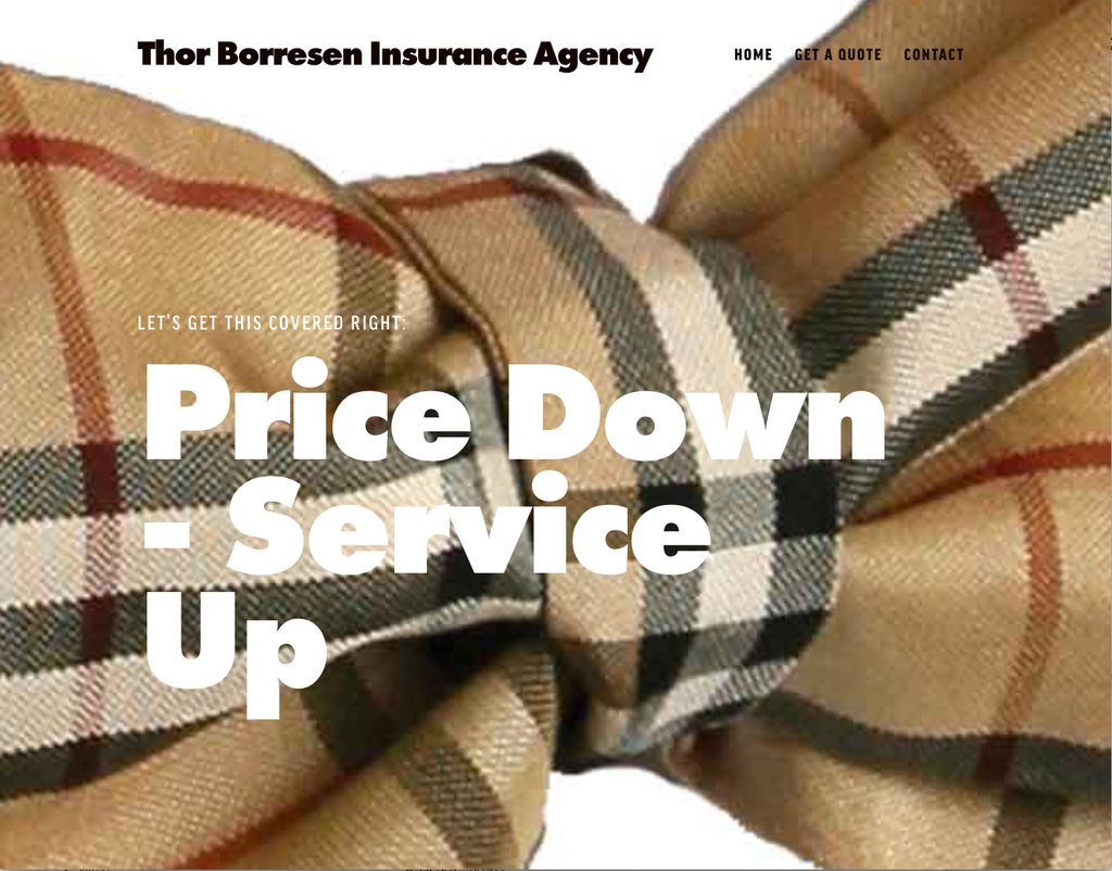 Low cost web management system website for Insuran