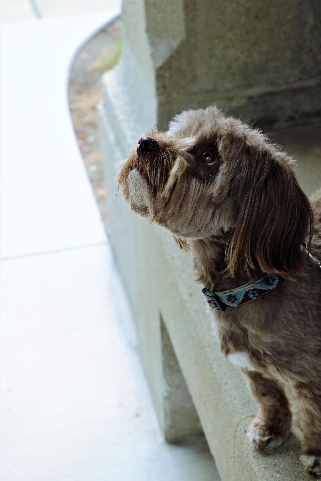 Modeling.
