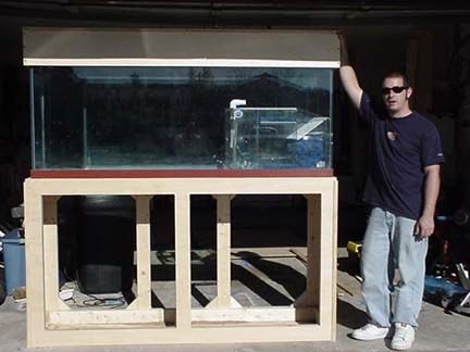 The beginning of 150 reef tank.  All carpentry wor