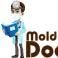 Mold Removal Doctor Austin